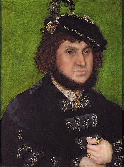Lucas  Cranach Part of a diptych with the portrait of his son Germany oil painting art